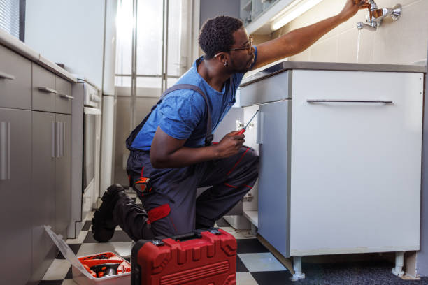 Best Garbage Disposal Repair and Installation  in Willacoochee, GA